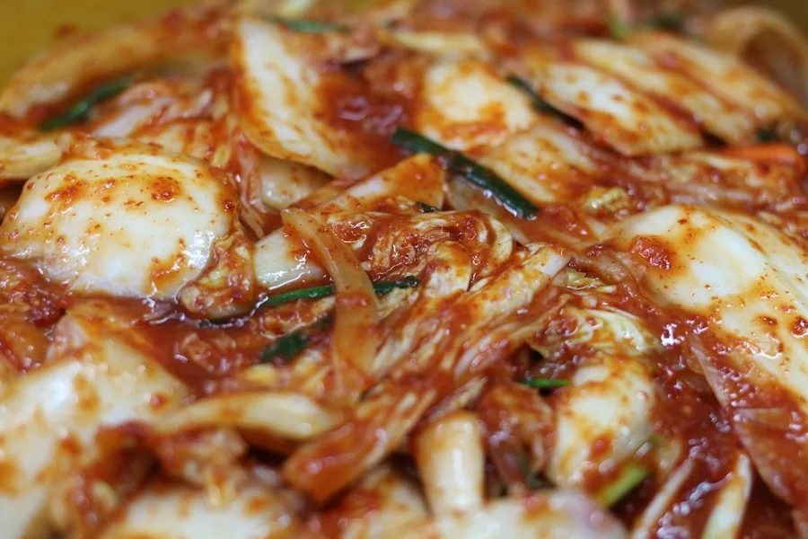 단계 9
