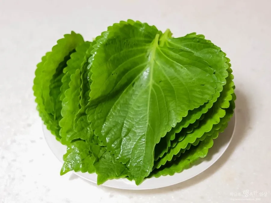 단계 1