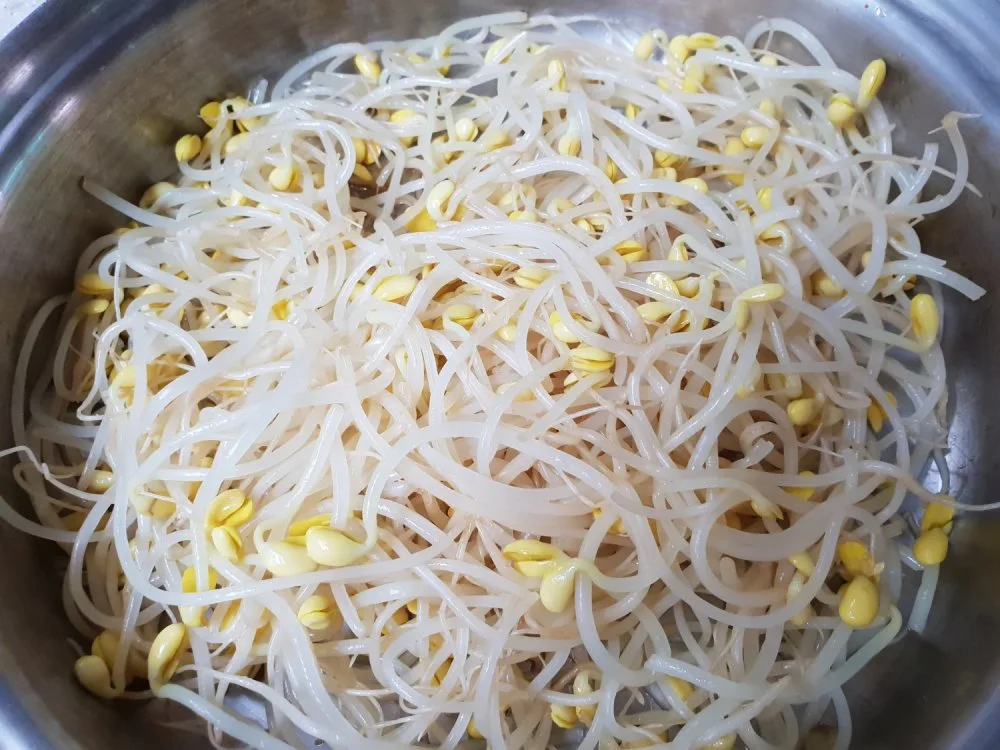 단계 4