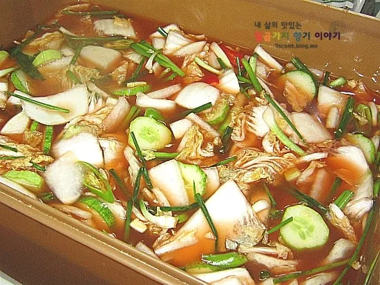 단계 6