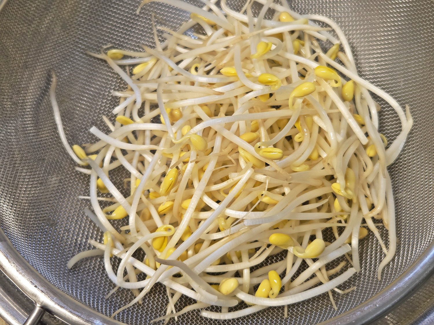 Schritt 1