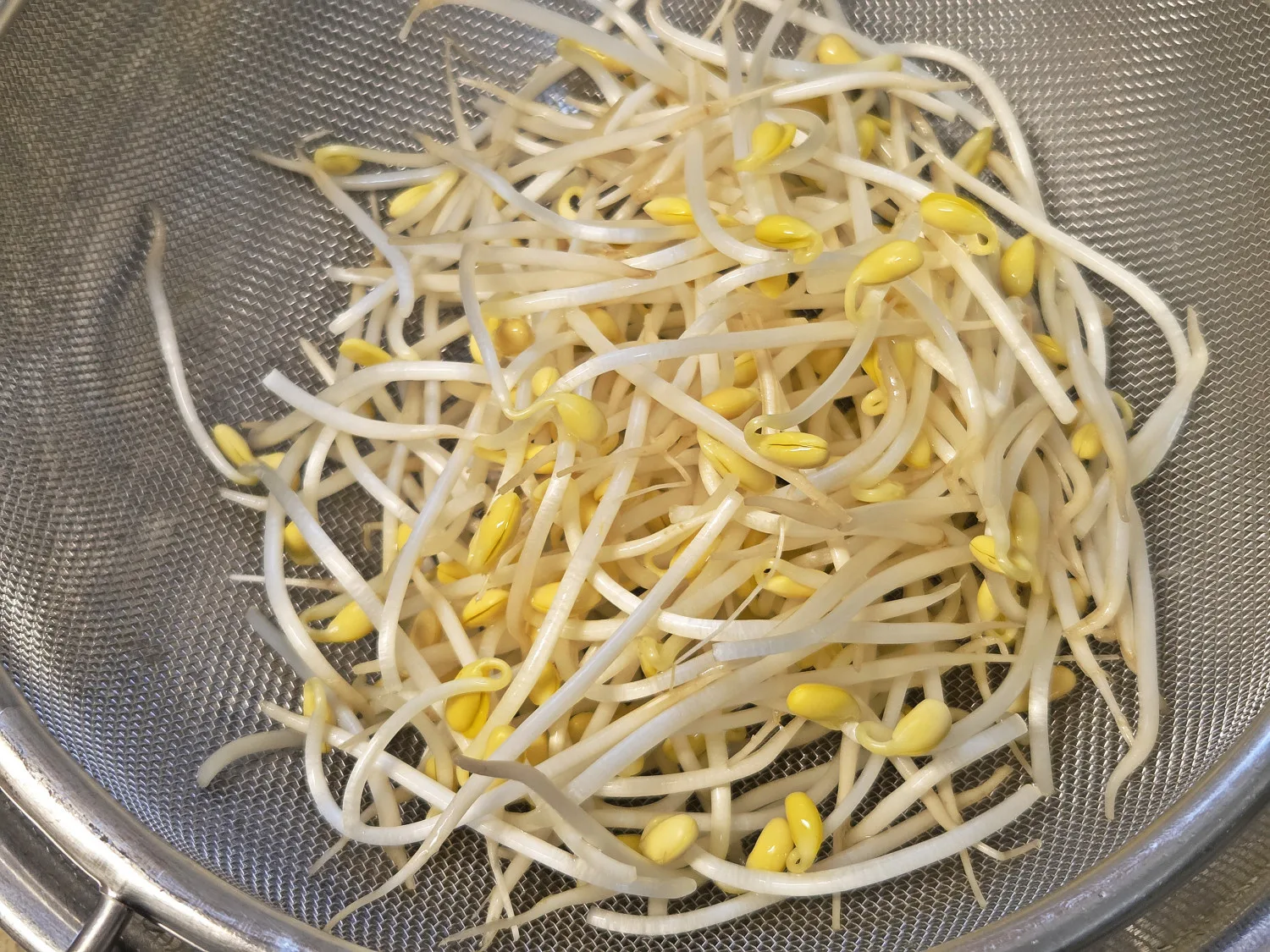단계 1